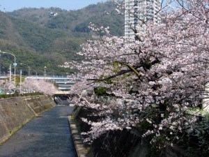 ? 一般財団法人神戸國際観光コンベンション協(xié)會